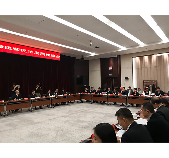 全國(guó)人大代表、方大集團(tuán)董事長(zhǎng)熊建明參加檢察機(jī)關(guān)服務(wù)保障民營(yíng)經(jīng)濟(jì)發(fā)展調(diào)研座談會(huì)